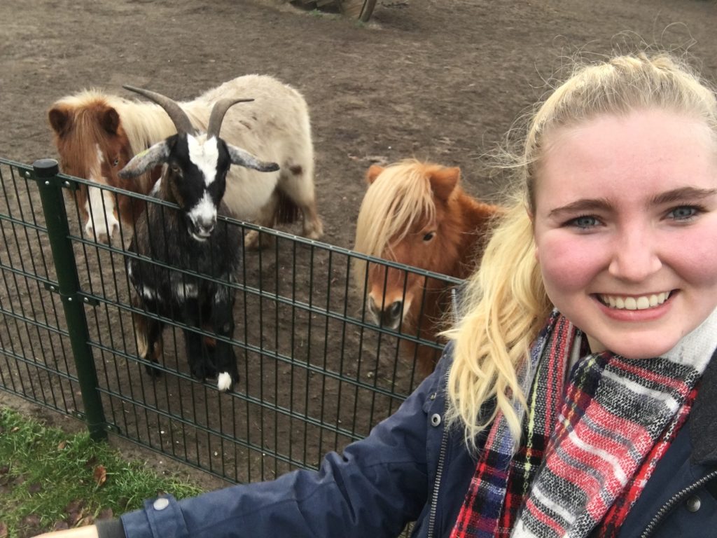 Mijn week 1 2019: Oudjaars avond en veel gezelligheid