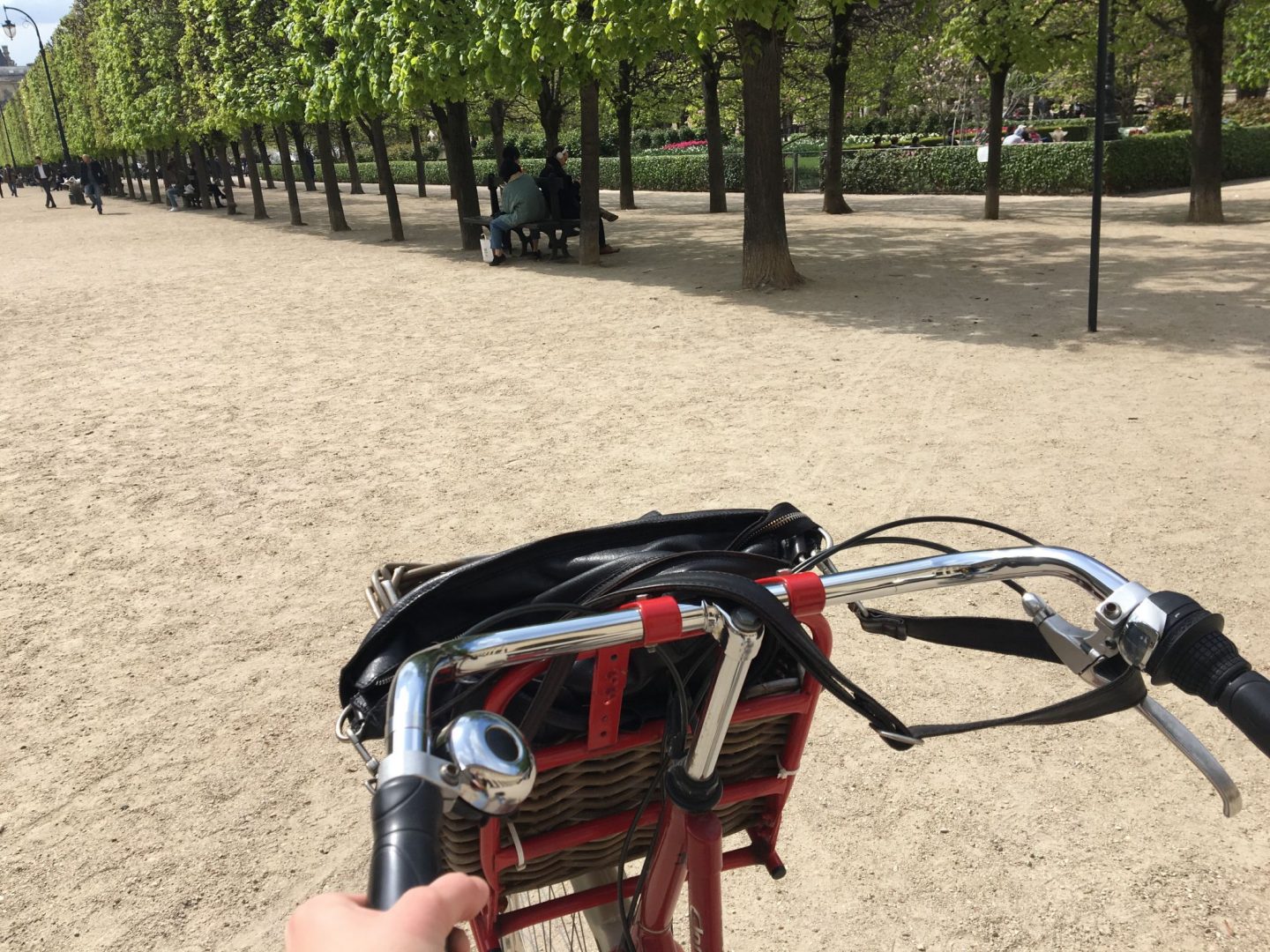 My week 15: First biking tour and a concert in Paris