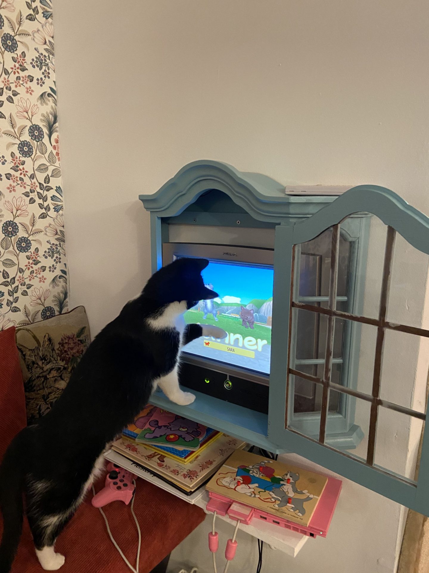 Review Katten café in Zwolle merellisanne.nl