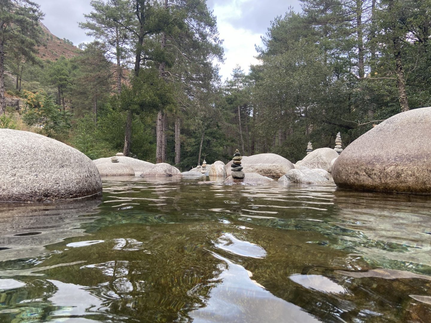 Rivier corsica 