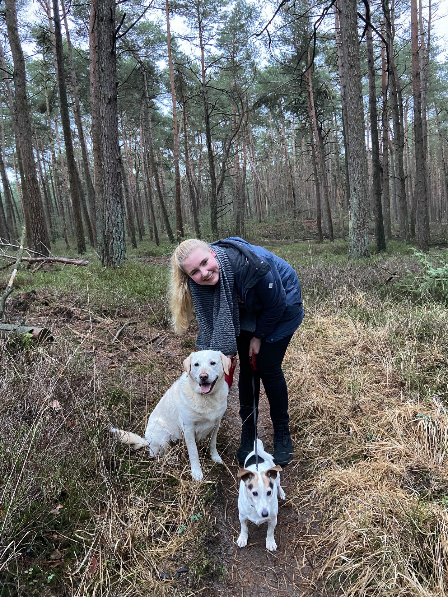 Wandelen Nunspeet 