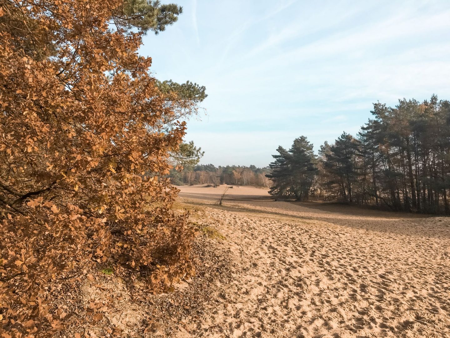 7 x mooi wandelen in Nederland